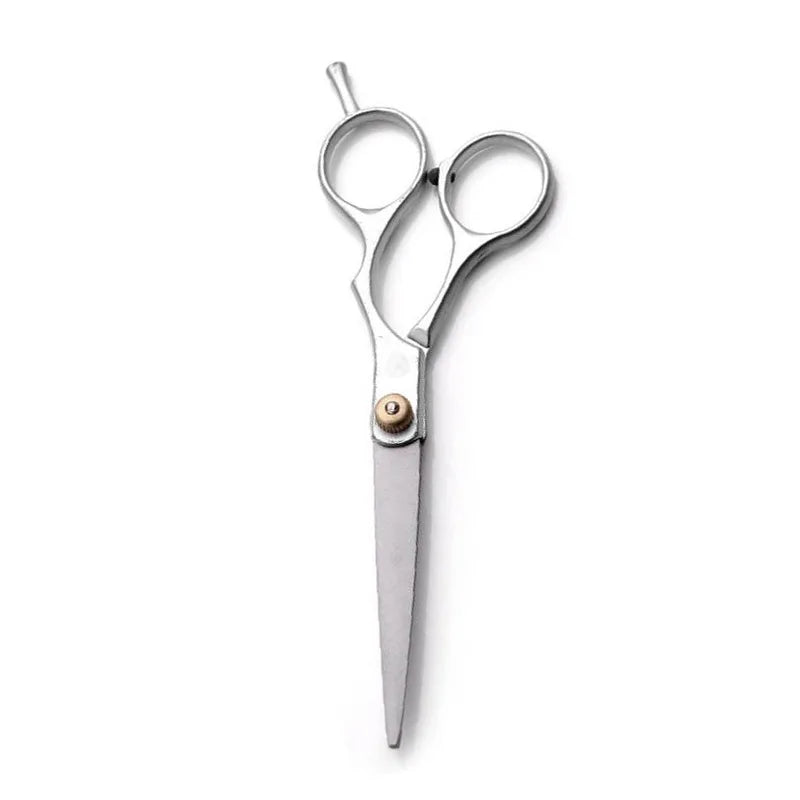 Scissors I Stainless Steel